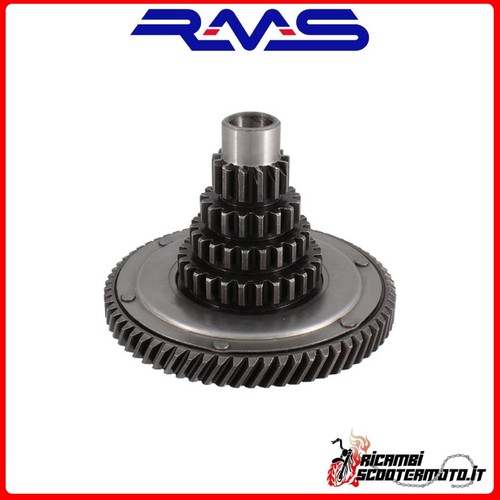 Albero primario completo rms - completo,