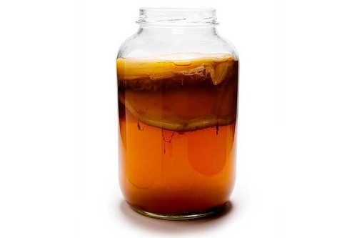 Mature potent bio kombucha - mature,