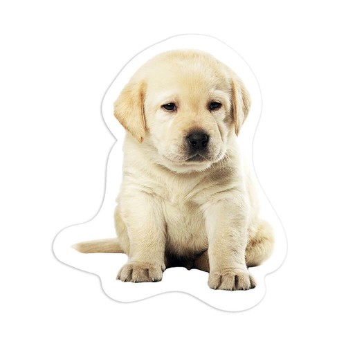 Adesivo regalo labrador - regalo:,