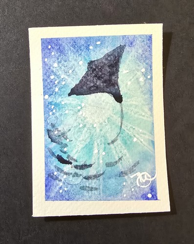 Quadro originale aceo - , stingray