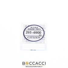 CITIZEN Accumulatore 295-6900
