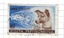 Timbre 1,20 Lei Roumanie – Laika – Cosmos – Poste spatiale rare REF 5696