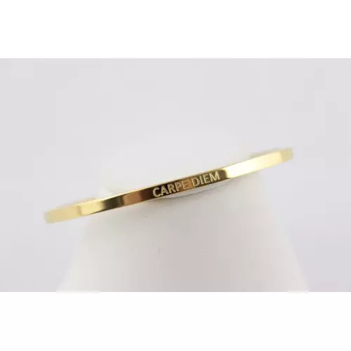 Steel bracelet message carpe - steel,