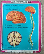 Corriere Piccoli Tavola Latta