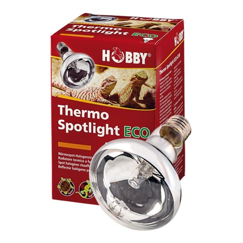 Hobby termo luce - hobby,
