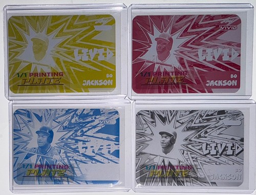 2024 leaf vivid baseball - 2024,