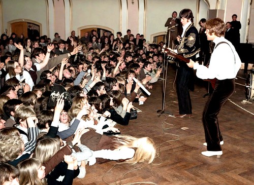 Bee gees zeitdokument foto - bee,