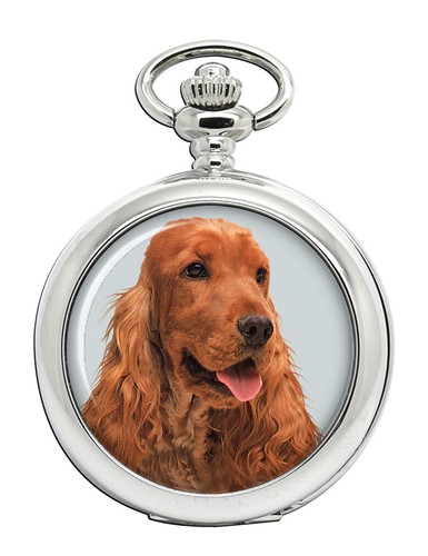 Inglese cocker spaniel - inglese,