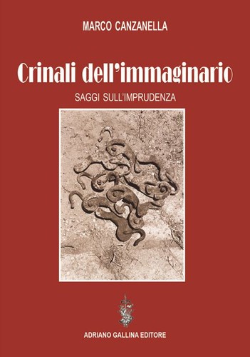 Libro nuovo canzanella - libro,