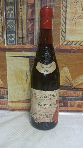 Vino 1977 refosco - vino,