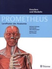 PROMETHEUS LernPoster der