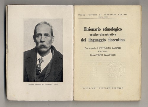 Dizionario etimologico pratico