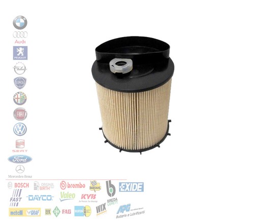Filtro carburante ssangyong - carburante,