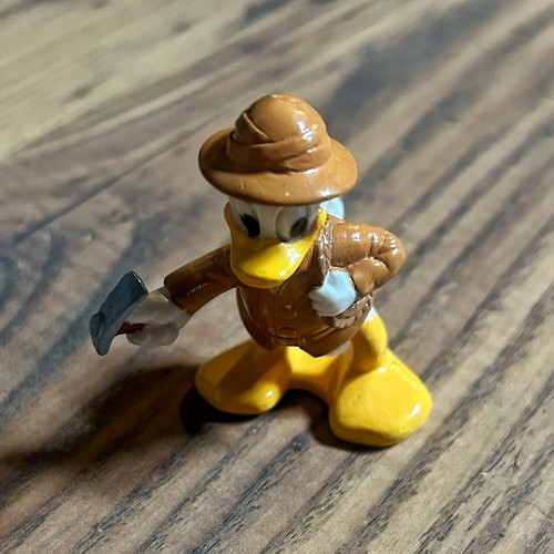 Donald duck explorer - donald,