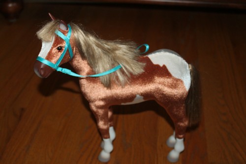 American girl giovane marrone - american,