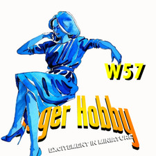 W57 - Sexy Donna seduta al bar