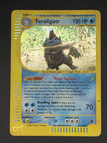 Pokemon feraligatr holo rare - feraligatr,