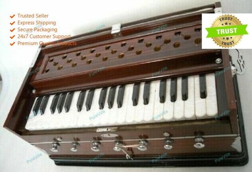 Indian musical high class - indian,