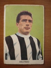 DOLPHIN - ITALIAN FOOTBALL -