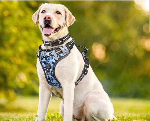 Winsee imbracatura per cani - per,