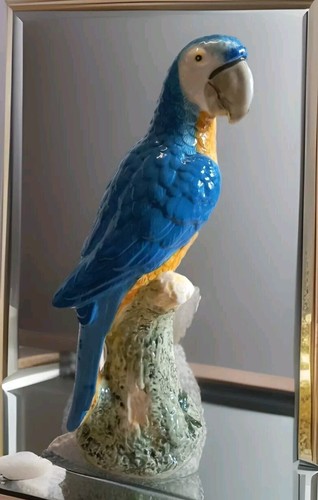 Scultura pappagallo - , in