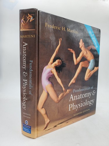 Fundamentals anatomy - of,