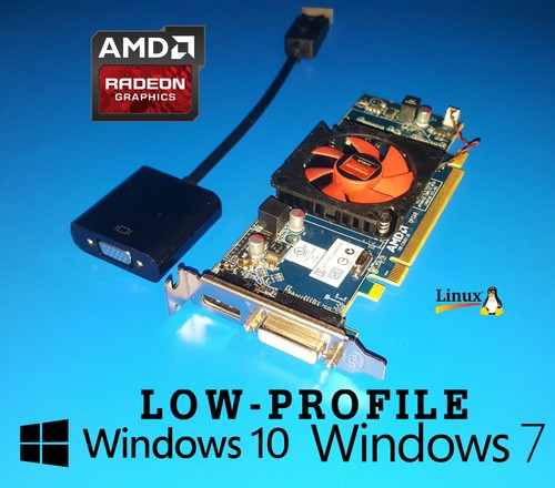 Scheda video dell optiplex - dell,