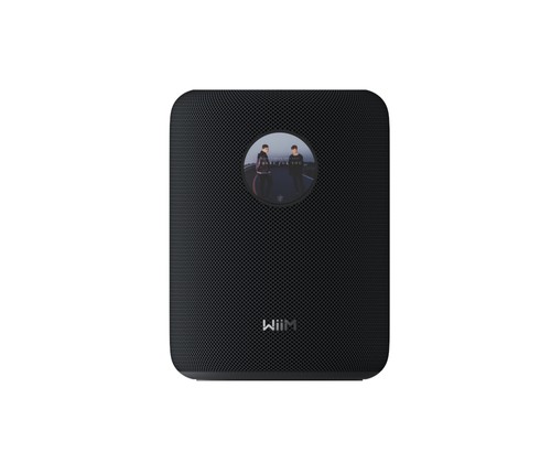 Wiim sound altoparlante - sound,