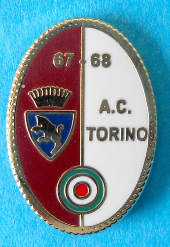Distintivo spilla pin badge - distintivo,