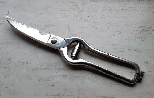 Vecchie forbici per - , pollame