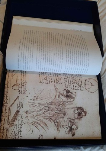 Leonardo vinci grande - vinci,