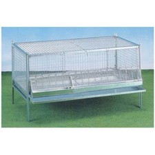 Gabbia pulcini antitopo cm - pulcini,
