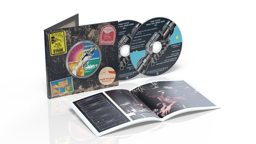 Pink floyd wish you - pink,