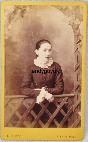 Cdv lady studio wood fence - lady,