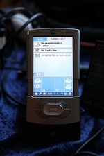 palm pilots (lotto) (Tungsteno