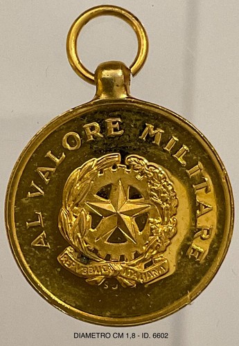 Valor militare med - valor,
