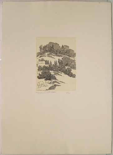 Leonardo castellani incisione - leonardo,