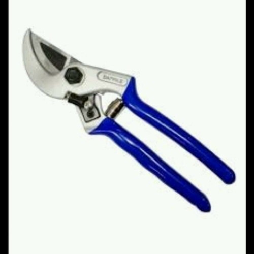 Forbici daprile lega lg21 - daprile,