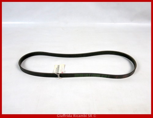 Cinghia servizi poly toyota - cinghia,
