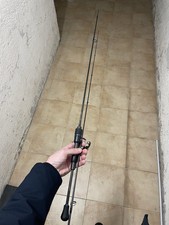 Molix Fioretto Essence Trout Area