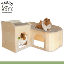 Resch 26 Porcellino D'India