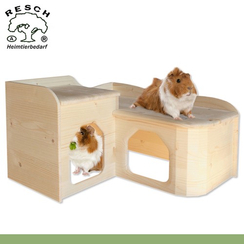 Resch porcellino india - 26,
