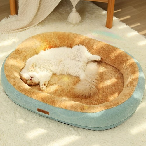 Cuccia per gatti cani - cuccia,