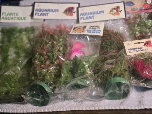 Lotto rare piante acquario - rare,