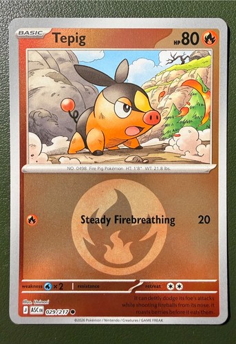 Pokemon tcg tepig 217 - tcg, eroi