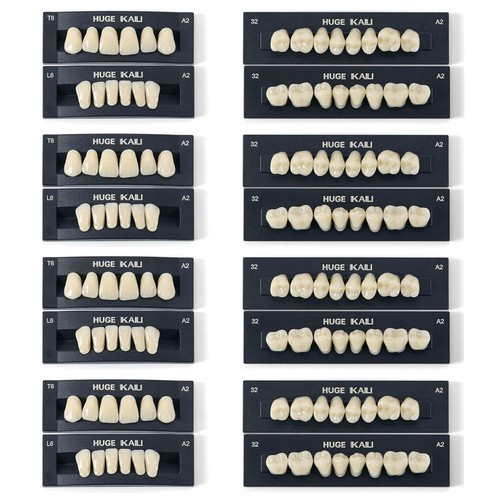 Set denti finti resina per - in,