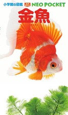 Goldfish (Shogakukan's
