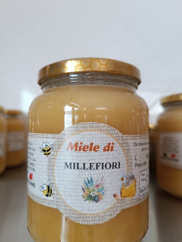 Miele millefiori 1kg di - miele,