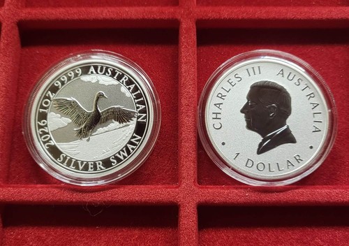 Cigno 2026 moneta argento - cigno,