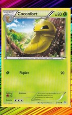 Coconfort - XY5:Primo Choc -